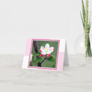 Apple Blossom Spring Note Kaart