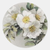 Apple Blossom Sticker (Voorkant)