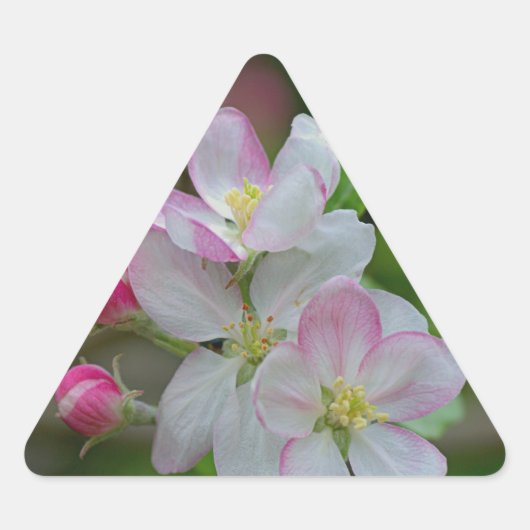 Apple Blossom Sticker (Voorkant)