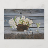 Apple Blossom Still Life – Original Fine Art Print Briefkaart (Voorkant)