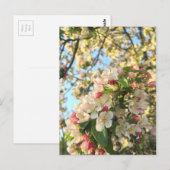 Apple Blossom Sunshine Briefkaart (Voorkant / Achterkant)