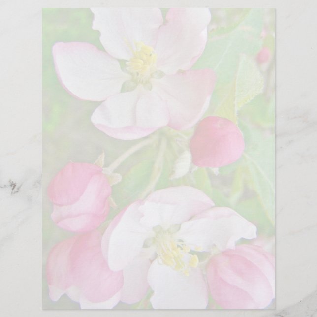 Apple Blossom Time (Voorkant)