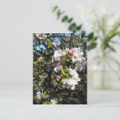 Apple Blossom Time Briefkaart (Staand voorkant)