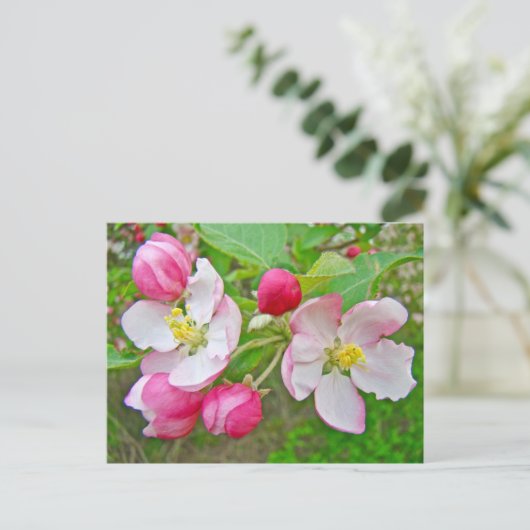 Apple Blossom Time Briefkaart (Staand voorkant)