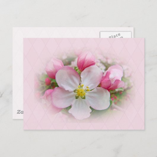 Apple Blossom Time Briefkaart (Voorkant / Achterkant)