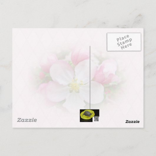 Apple Blossom Time Briefkaart (Achterkant)