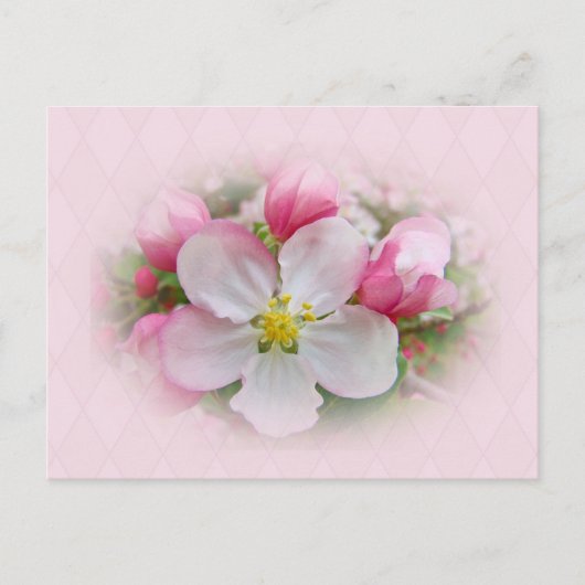 Apple Blossom Time Briefkaart (Voorkant)