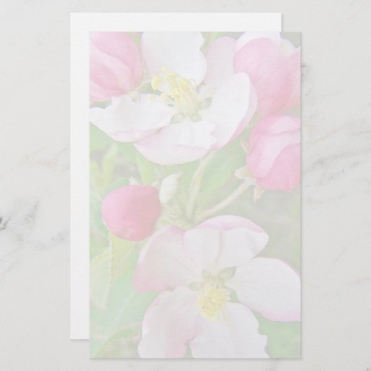 Apple Blossom Time Briefpapier (Voorkant / Achterkant)