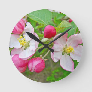 Apple Blossom Time Ronde Klok
