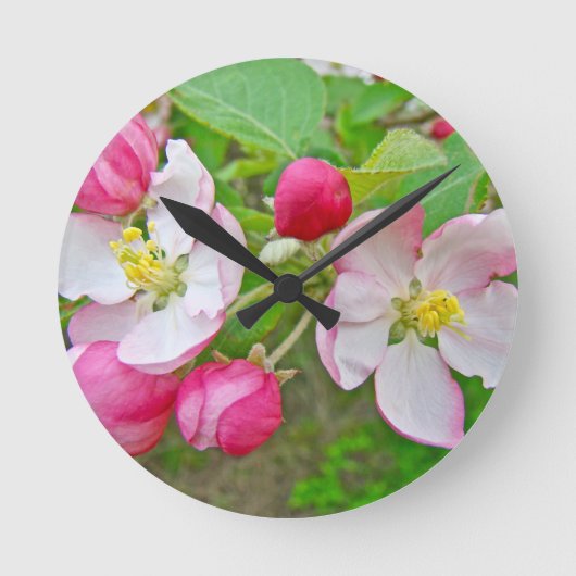 Apple Blossom Time Ronde Klok (Voorkant)