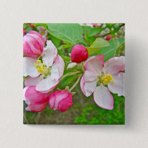 Apple Blossom Time Vierkante Button 5,1 Cm