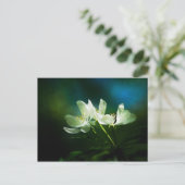 Apple Blossom - Twee bloemen Briefkaart (Staand voorkant)