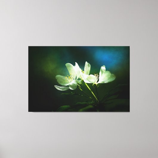 Apple Blossom - Twee bloemen Canvas Afdruk (Voorkant)