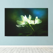 Apple Blossom - Twee bloemen Canvas Afdruk (Insitu (Houten vloer))
