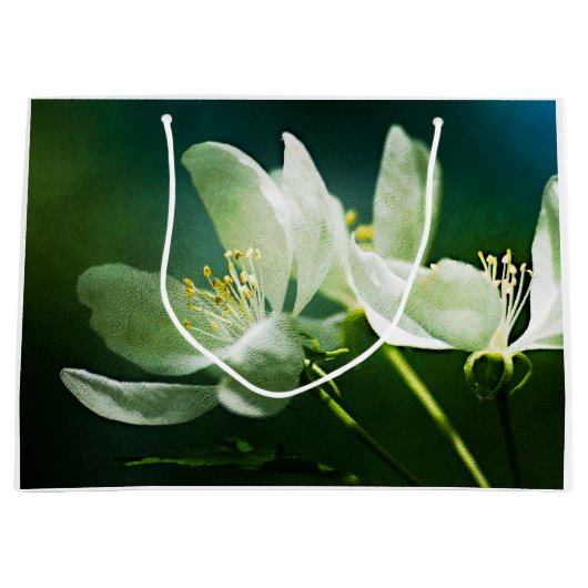 Apple Blossom - Twee bloemen Groot Cadeauzakje (Voorkant)