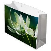 Apple Blossom - Twee bloemen Groot Cadeauzakje (Achterkant Gekanteld)