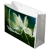 Apple Blossom - Twee bloemen Groot Cadeauzakje (Voorkant Gekanteld)