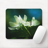 Apple Blossom - Twee bloemen Muismat (Met muis)