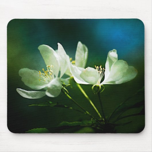 Apple Blossom - Twee bloemen Muismat (Voorkant)