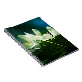 Apple Blossom - Twee bloemen Notitieboek (Rechterzijde)