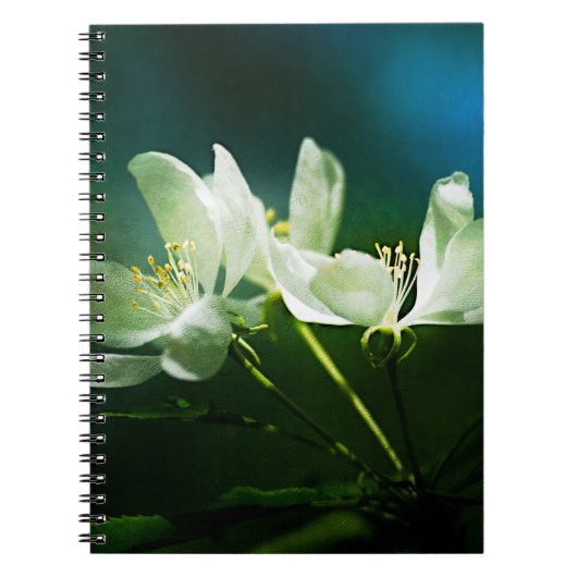 Apple Blossom - Twee bloemen Notitieboek (Voorkant)