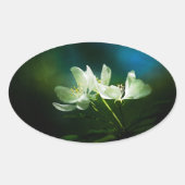 Apple Blossom - Twee bloemen Ovale Sticker (Voorkant)