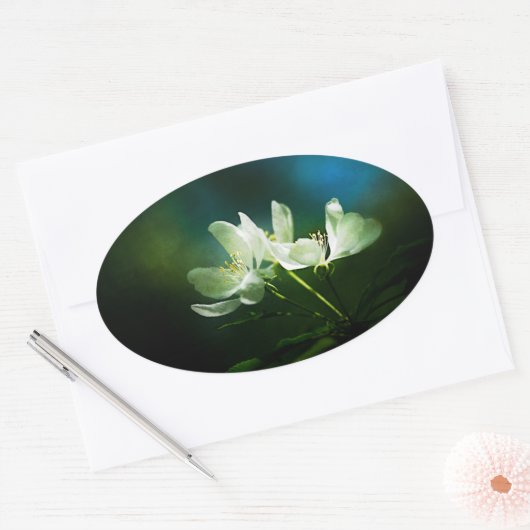 Apple Blossom - Twee bloemen Ovale Sticker (Envelop)