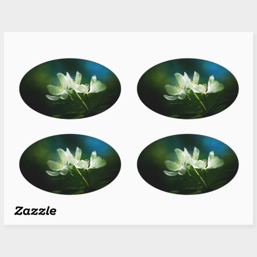 Apple Blossom - Twee bloemen Ovale Sticker (Vel)