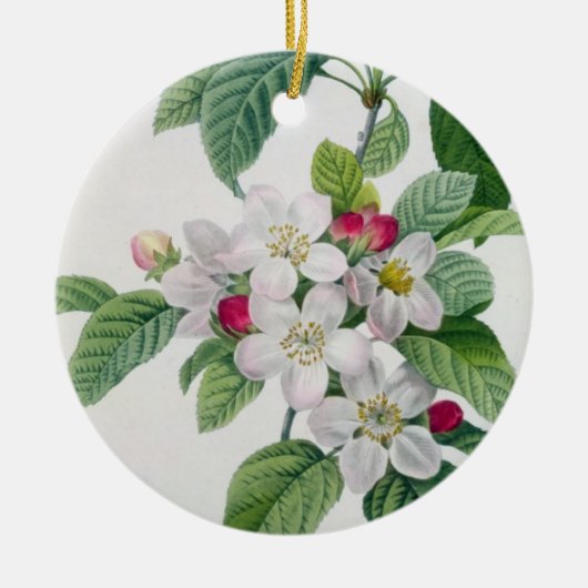 Apple Blossom uit 'Les Choix des Plus Belles' Keramisch Ornament (Voorkant)