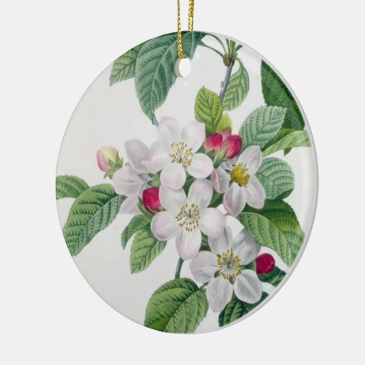 Apple Blossom uit 'Les Choix des Plus Belles' Keramisch Ornament (Links)