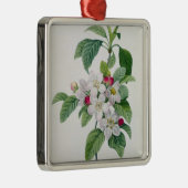 Apple Blossom uit 'Les Choix des Plus Belles' Metalen Ornament (Rechts)