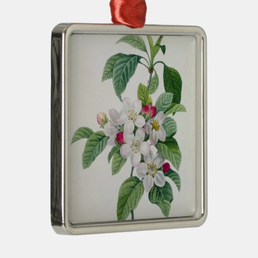 Apple Blossom uit 'Les Choix des Plus Belles' Metalen Ornament (Rechts)