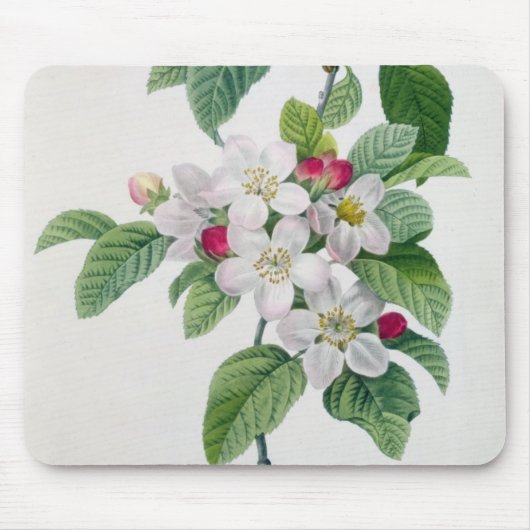 Apple Blossom uit 'Les Choix des Plus Belles' Muismat (Voorkant)
