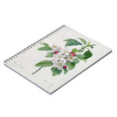 Apple Blossom uit 'Les Choix des Plus Belles' Notitieboek (Linkerzijde)