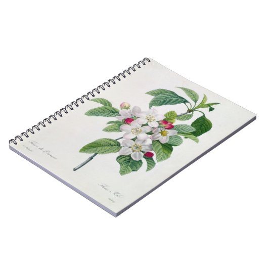 Apple Blossom uit 'Les Choix des Plus Belles' Notitieboek (Linkerzijde)