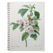 Apple Blossom uit 'Les Choix des Plus Belles' Notitieboek (Voorkant)