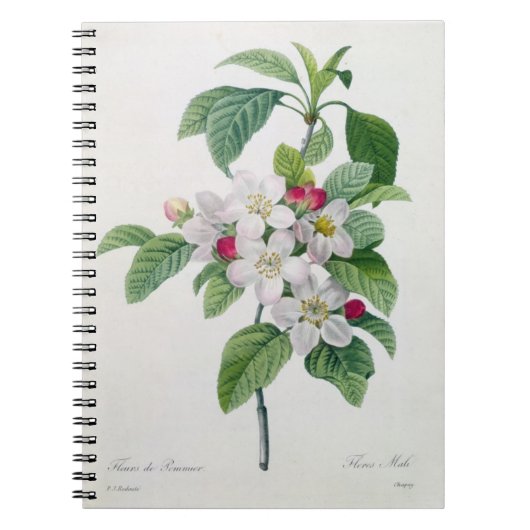Apple Blossom uit 'Les Choix des Plus Belles' Notitieboek (Voorkant)