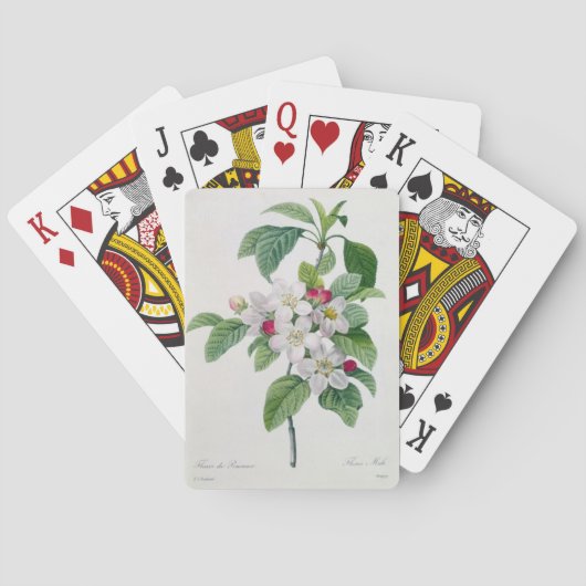 Apple Blossom uit 'Les Choix des Plus Belles' Pokerkaarten (Achterkant)