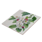 Apple Blossom uit 'Les Choix des Plus Belles' Tegeltje (Zijkant)