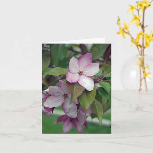 Apple Blossom Verjaardag Kaart (Gele Bloem)