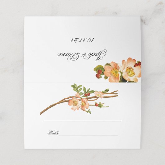 Apple Blossom Waterverf Stems Wedding Plaatskaartje (Buitenkant ongevouwen)