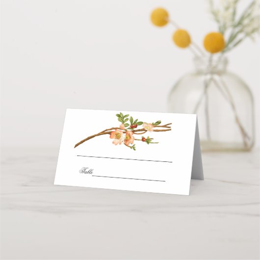 Apple Blossom Waterverf Stems Wedding Plaatskaartje (Voorkant)