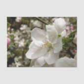 Apple Blossom-weefselpapier Tissuepapier (Voorkant)