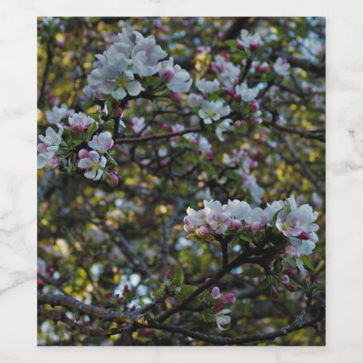 Apple Blossom Wijn Etiket (Enkel label)