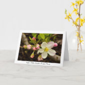 Apple Blossoms All Occasion Groeten Dank je wel Kaart (Gele Bloem)