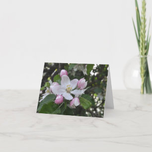 Apple Blossoms Bedankt Kaart