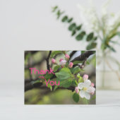 Apple Blossoms Briefkaart - elke gelegenheid aanpa (Staand voorkant)
