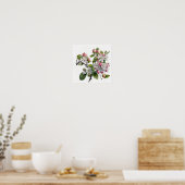 Apple Blossoms Flower Art Print Poster (Keuken)