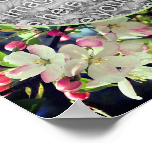 Apple Blossoms Lijst Creëer Je eigen foto Poster (Hoek)