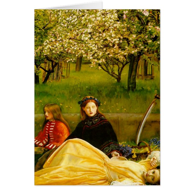 Apple Blossoms Spring Fine Art (Voorkant)